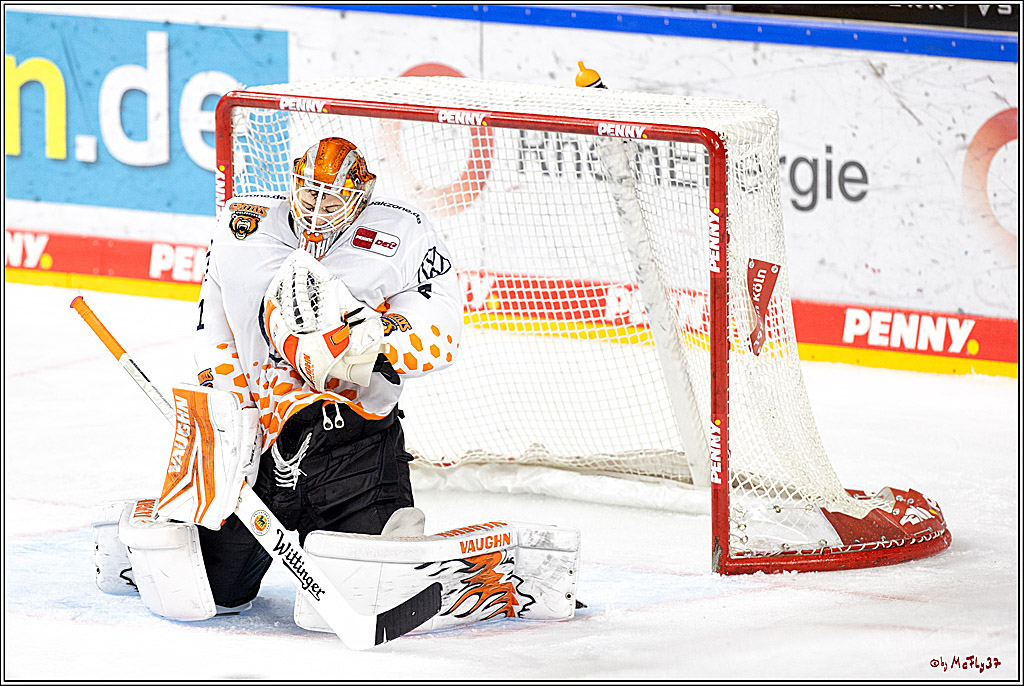 PENNY DEL;  Kölner Haie - Grizzly Wolfsburg; Köln, 26.10.2022